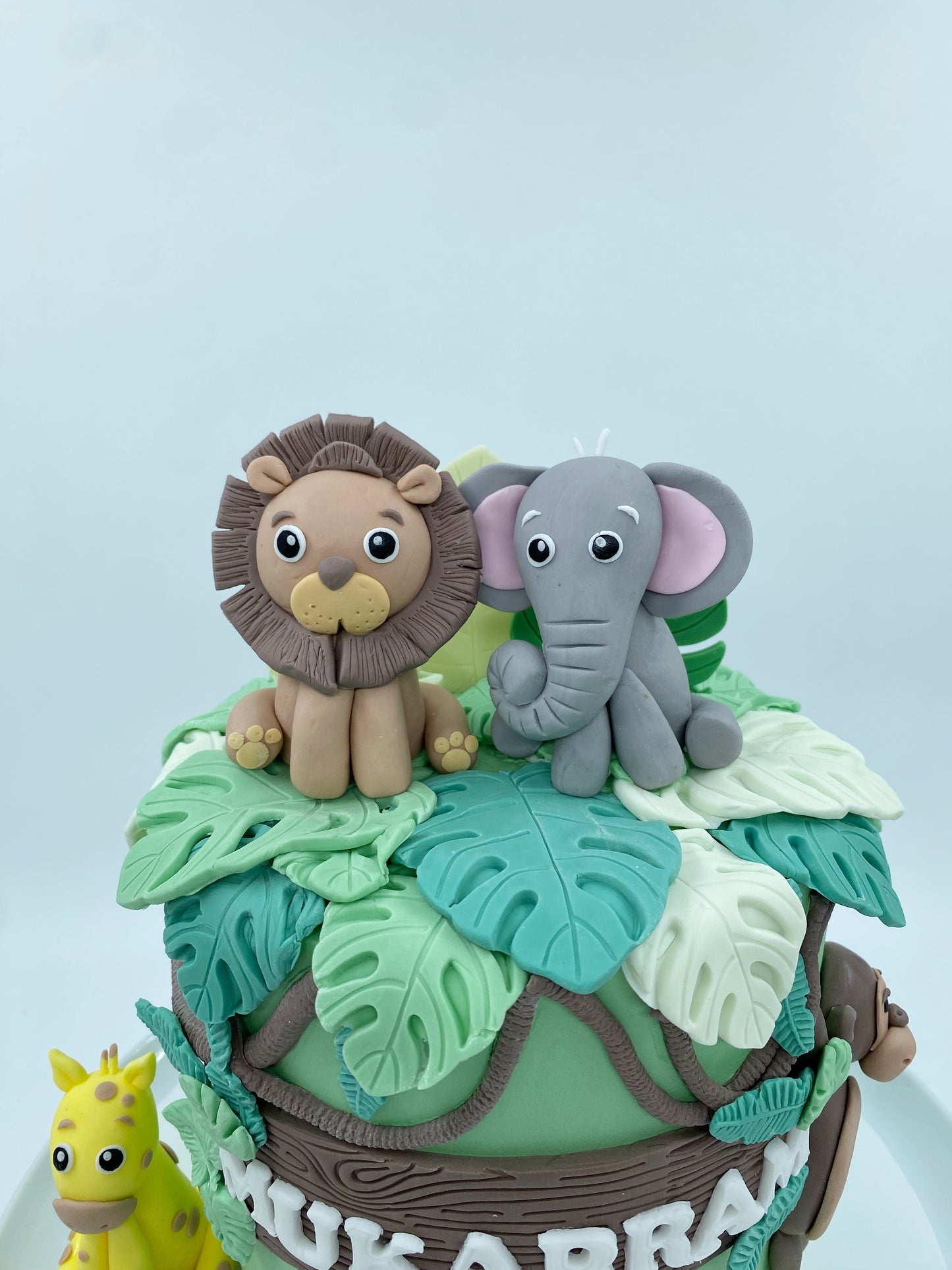 Safari Cake