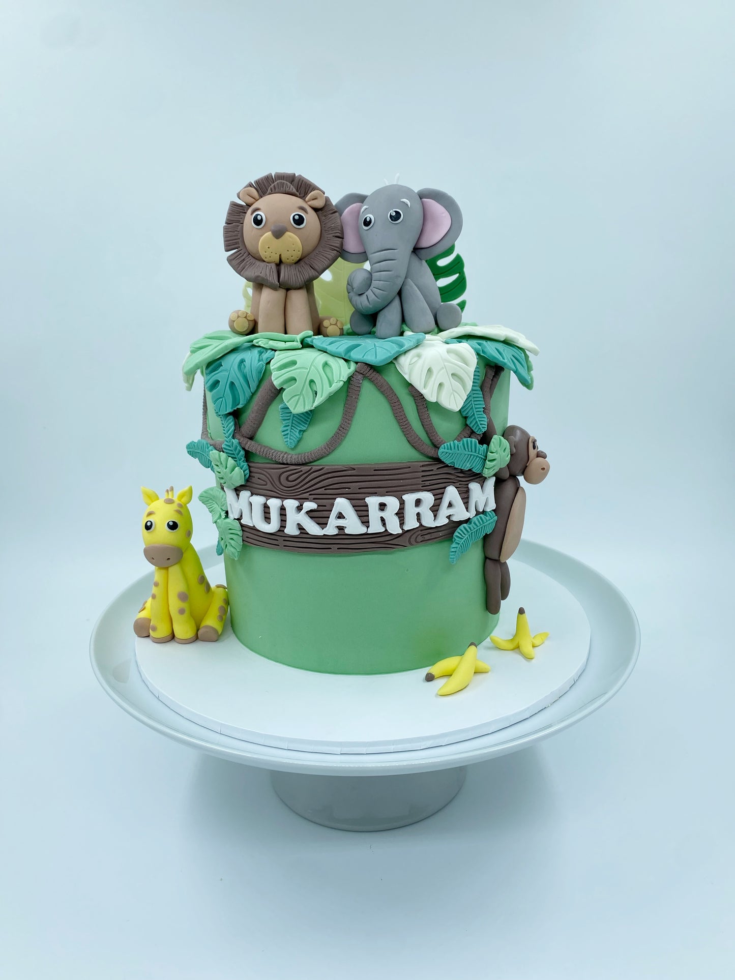 Safari Cake